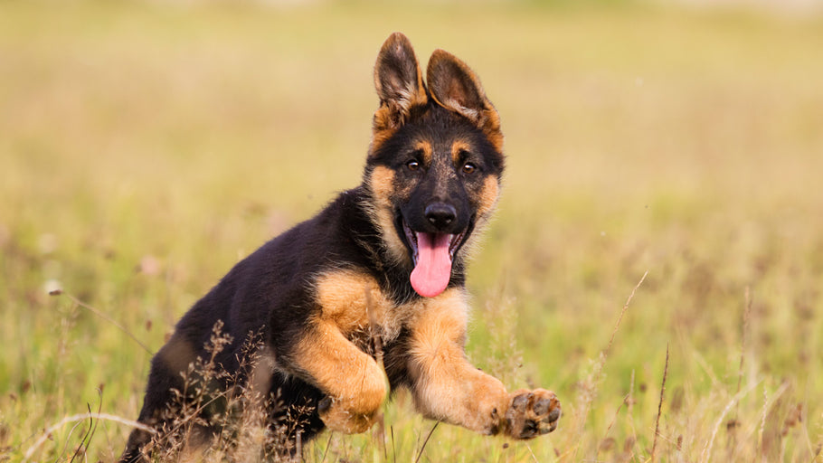 3. Break/Release – What is it?